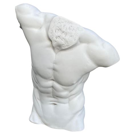 Male Torso Statue Th Century At Stdibs