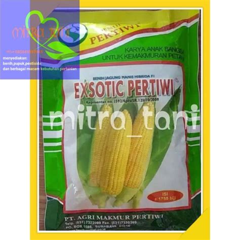 Benih Jagung Manis Hibrida Exsotic Biji Dari Benuh Pertiwi