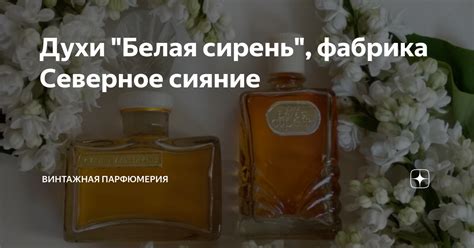 Духи "Белая сирень", фабрика Северное сияние | Винтажная парфюмерия | Дзен