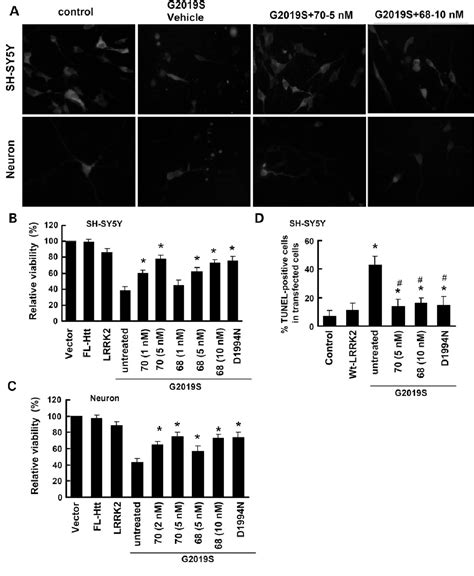 Figure From Novel Lrrk Gtp Binding Inhibitors Reduced Degeneration