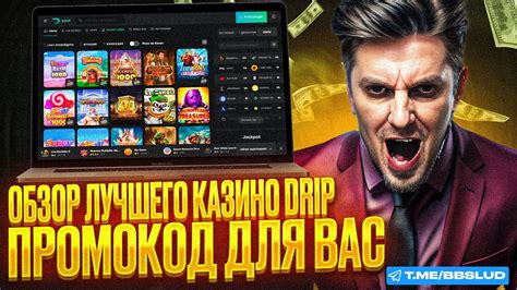 КАЗИНО ДРИП ОТЗЫВЫ | ОБЗОР КАЗИНО ДРИП ПОКАЖЕТ СЕКРЕТНЫЕ ФИШКИ И ЛУЧШИЕ ...