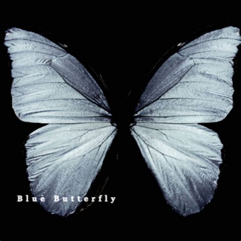 Parjam Parsi Shares Melancholic Piano Album ‘Blue Butterfly’ - Mesmerized