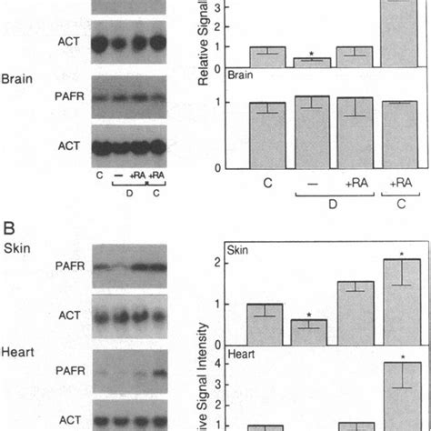 Specific Binding Of Rar Rxr And Tr Rxr Heterodimers To Rare And Tre In Download Scientific