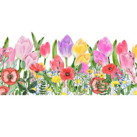 20 Watercolor Wildflowers Border Digital Clipart High-quality PNG, JPEG ...