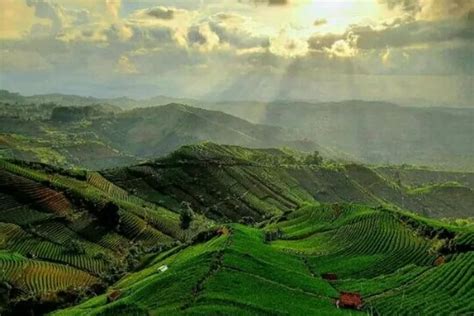 Rekomendasi Tempat Wisata Alam Majalengka Hadirkan Pemandangan Asri