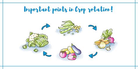 The Advantages of Crop Rotation - Uyir Organic Farmers Market