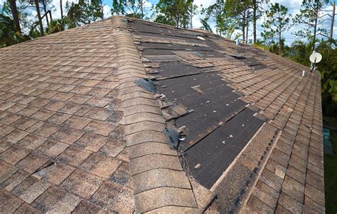 Roofing Company In Winter Park FL Repairs Replacements