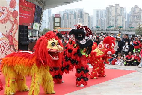 年轻人又把龙狮舞起来了！南屏镇这场舞龙醒狮表演精彩上演