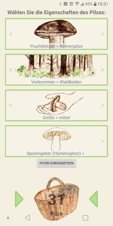 besten 5 Apps für Pilz Sammler iOS Android