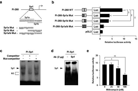 Transcription factor Sp1 is crucial for the basal activity of the Pi ... 