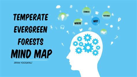 Temperate Evergreen Forest Mind map by Irfan Yousafali on Prezi