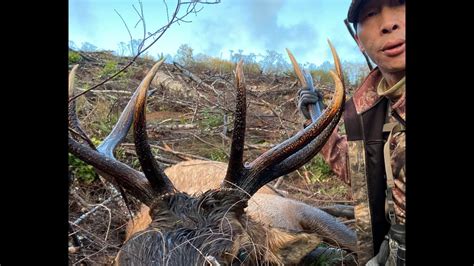 Oregon Washington Archery Elk Hunt Two State Herd Bull Best