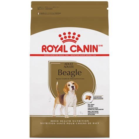 Beagle Adult Dry Dog Food Royal Canin Ca