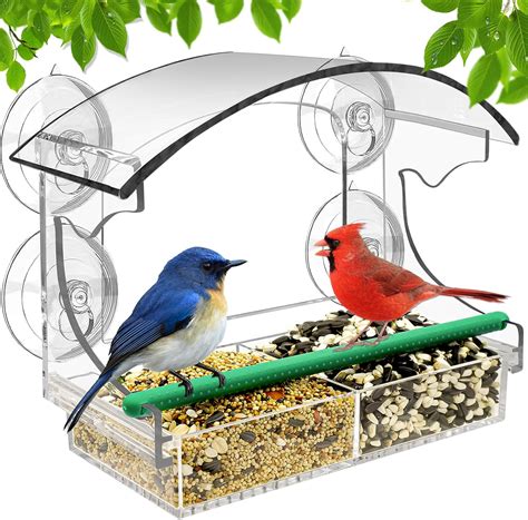 amazoncom fabulas window bird feeder strong suction cups window