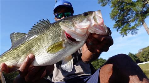 A Nice Day Of Fall Bass Fishing Topwatercrankbaits Youtube