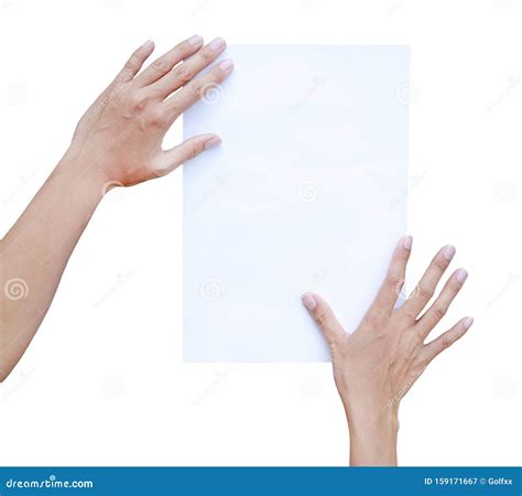 Woman Hands Holding Sheet Of Paper Isolated On White Background Stock