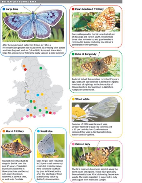 Another reason to hope for a warm summer – it's good for Britain's