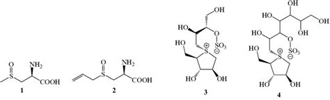 Sulphur containing compounds. | Download Scientific Diagram