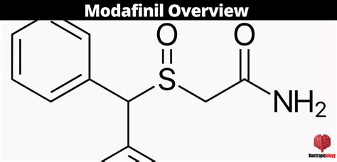 Modafinil Provigil Nootropic Review Dosage Benefits And Side Effects