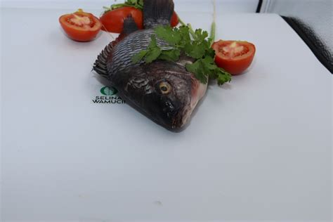 Uganda Fish | Exporter & Supplier - Good Prices