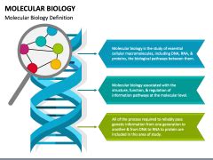 Molecular Biology Powerpoint And Google Slides Template Ppt Slides