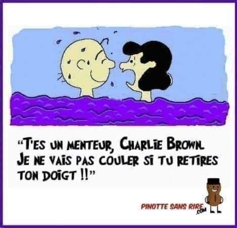 Pin By Jean Dumont On Snoopy Charlie Brown Cartoon Jokes Funny