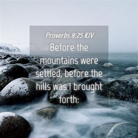 Proverbs 825 Kjv Bible Verse Images