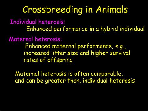 PPT - Lecture 7: Inbreeding and Crossbreeding PowerPoint Presentation ...