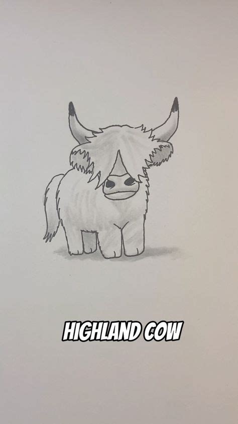 Highland Cow Drawing Easy