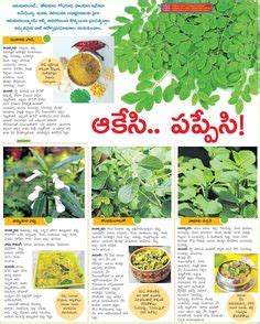 పుదీనా తో వంటకాలు - Mint Cooking Recipes