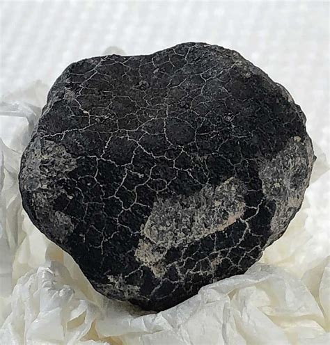 Allende Meteorite