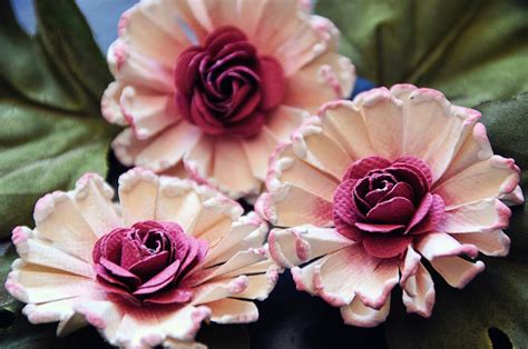 beautiful mess swirly sweetheart daisy