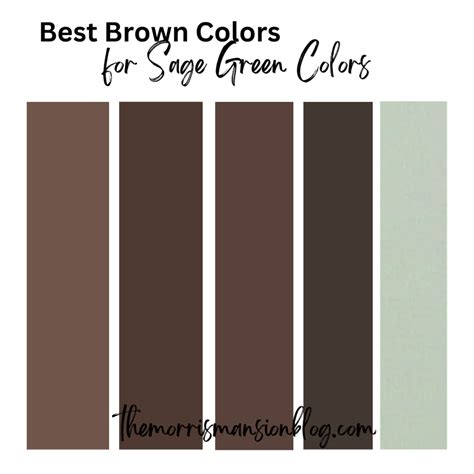 9 Sage Green Color Palettes 2023 The Morris Mansion