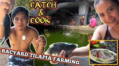 Backyard Tilapia Farming Catch And Cook Youtube