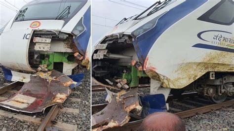 Vande Bharat Express Train Met With An Accident After A Herd Of