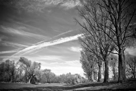 Kostenlose Foto Landschaft Baum Natur Wald Gras Ast Winter