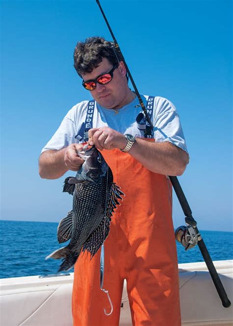 Black Sea Bass On Light Tackle Salt Water Sportsman