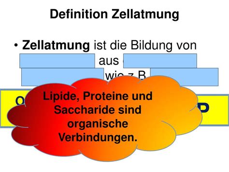 Ppt Zellatmung Und Fotosynthese Powerpoint Presentation Free