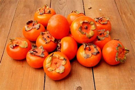 Japanese Persimmon Tree Seeds Diospyros Kaki Asia Hardy Garden