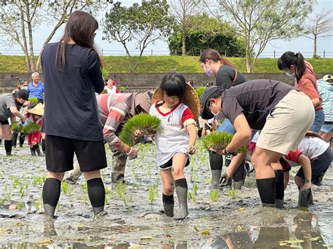 羅東鎮立幼兒園112年食農教育系列活動2 愛到永遠「親子插秧」活動