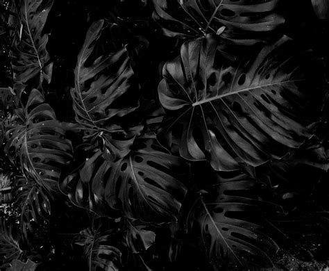 Algorithms: An Introduction