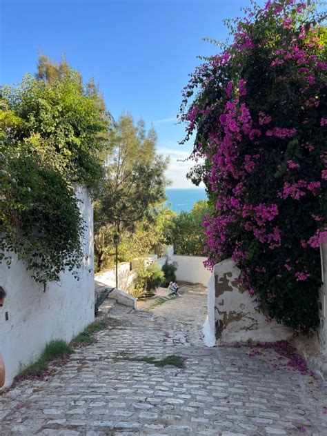 Sidi Bou Said: A Mediterranean Paradise