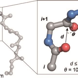 A Protein Backbone Depicting A Coi Coi N Interaction With The