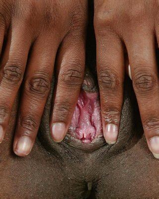 Ebony Beauty Adora Porn Pictures Xxx Photos Sex Images Pictoa