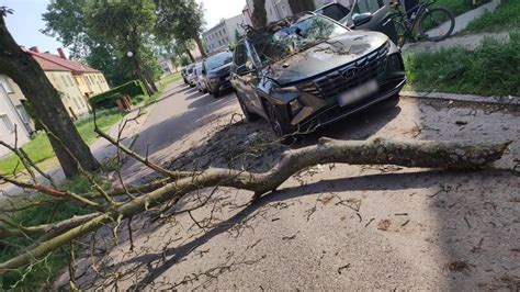 Wielki konar spadł na auto gwiazdora disco polo Auto zniszczone