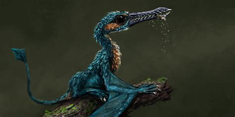 Rhamphorhynchus By Indeepblue On Deviantart