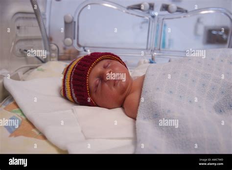 New Born Premature Baby In Incubator Neonatal Intensive Care Unit