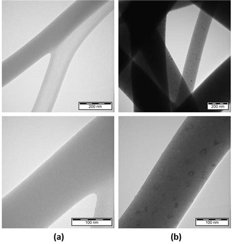 Tem Images Of Electrospun Silk Fibroin Composites With Two Different