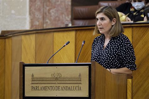 El Parlamento Convalida El Decreto Ley Que Da Luz Verde A La Iniciativa