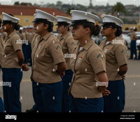 Us Marines With Platoon 3241 Lima Company 3rd Recruit Training